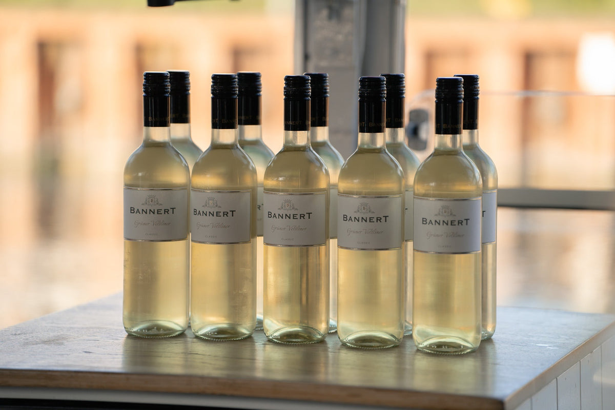 Gin, Bier, Whiskey oder Wein? - Tastings & Seminare auf der MS Günther